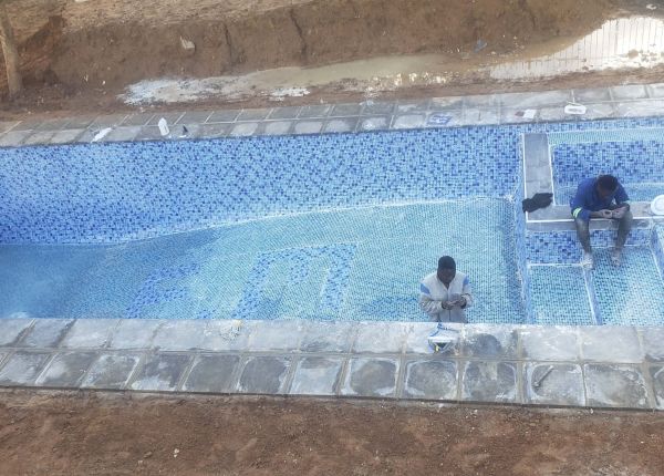 Ibex Kingsland Pool